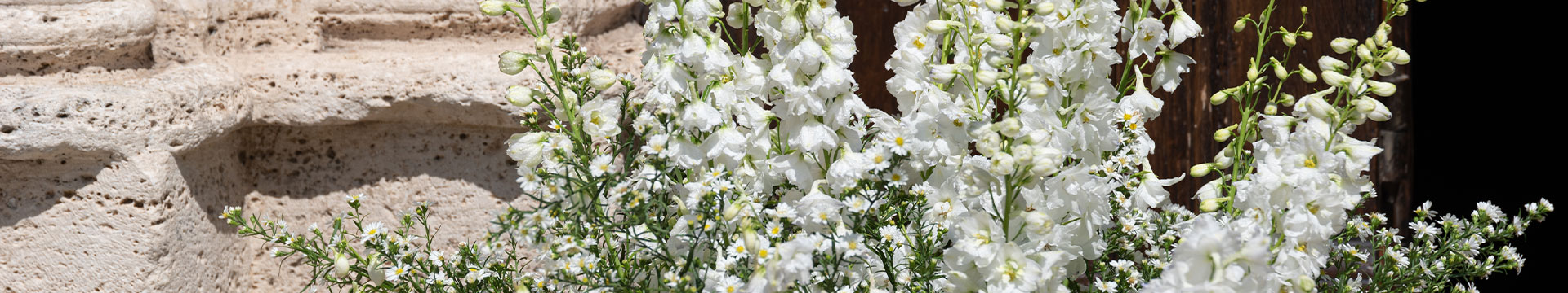 Romantic White Wedding in Ascoli Piceno
